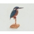 Zimorodek (Alcedo atthis)