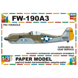 Focke-Wulf Fw-190A3 (USAF)