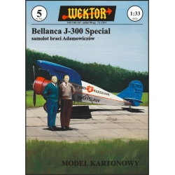 Bellanca J-300 Specjal