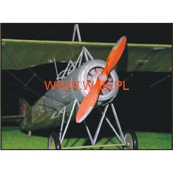 Morane-Saulnier MS.35 